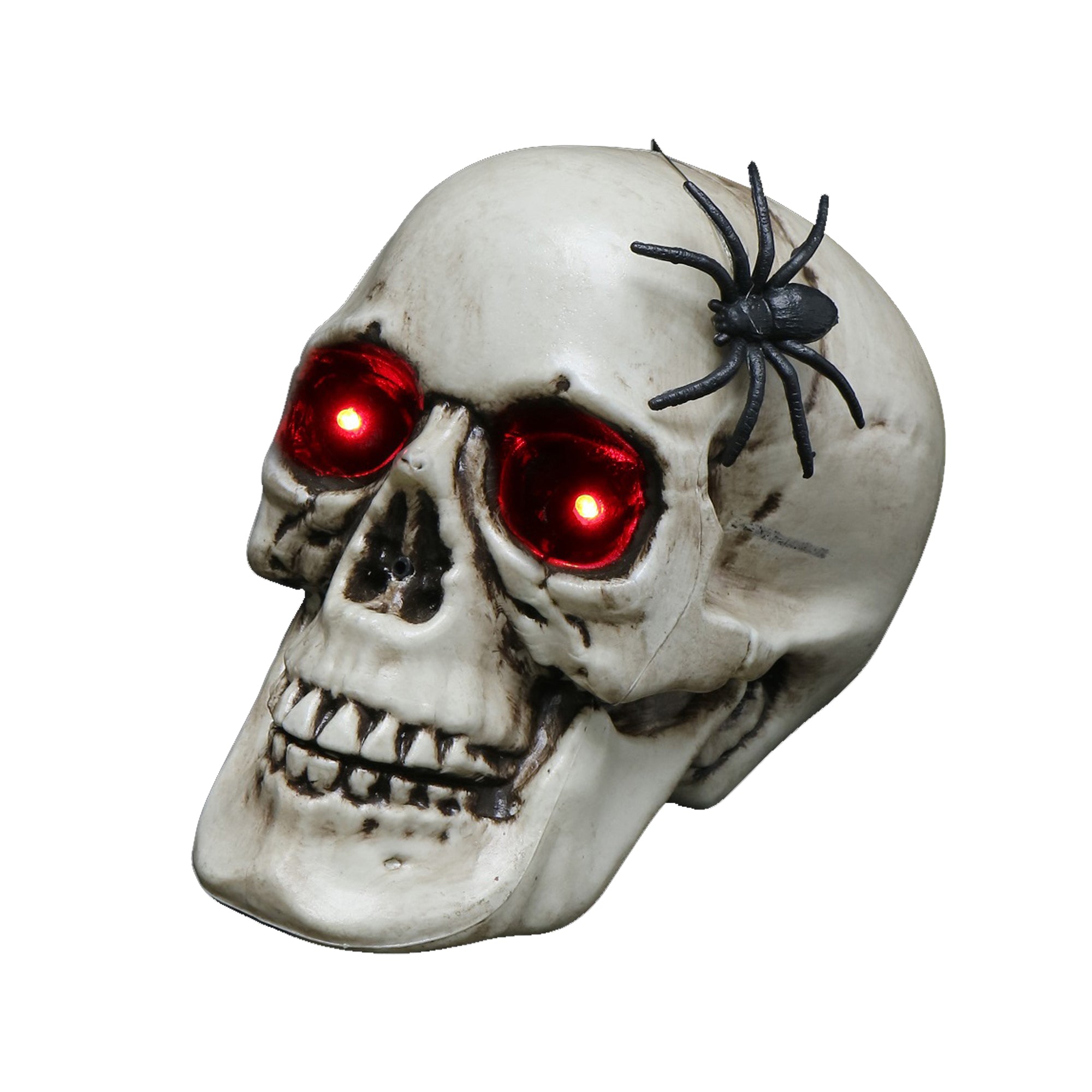 Skull With Moving Spider, Battery Operated, 22cm, 1pc