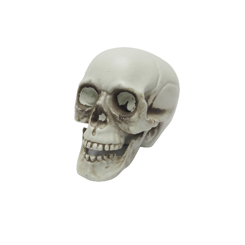 Skull Decor 10cm