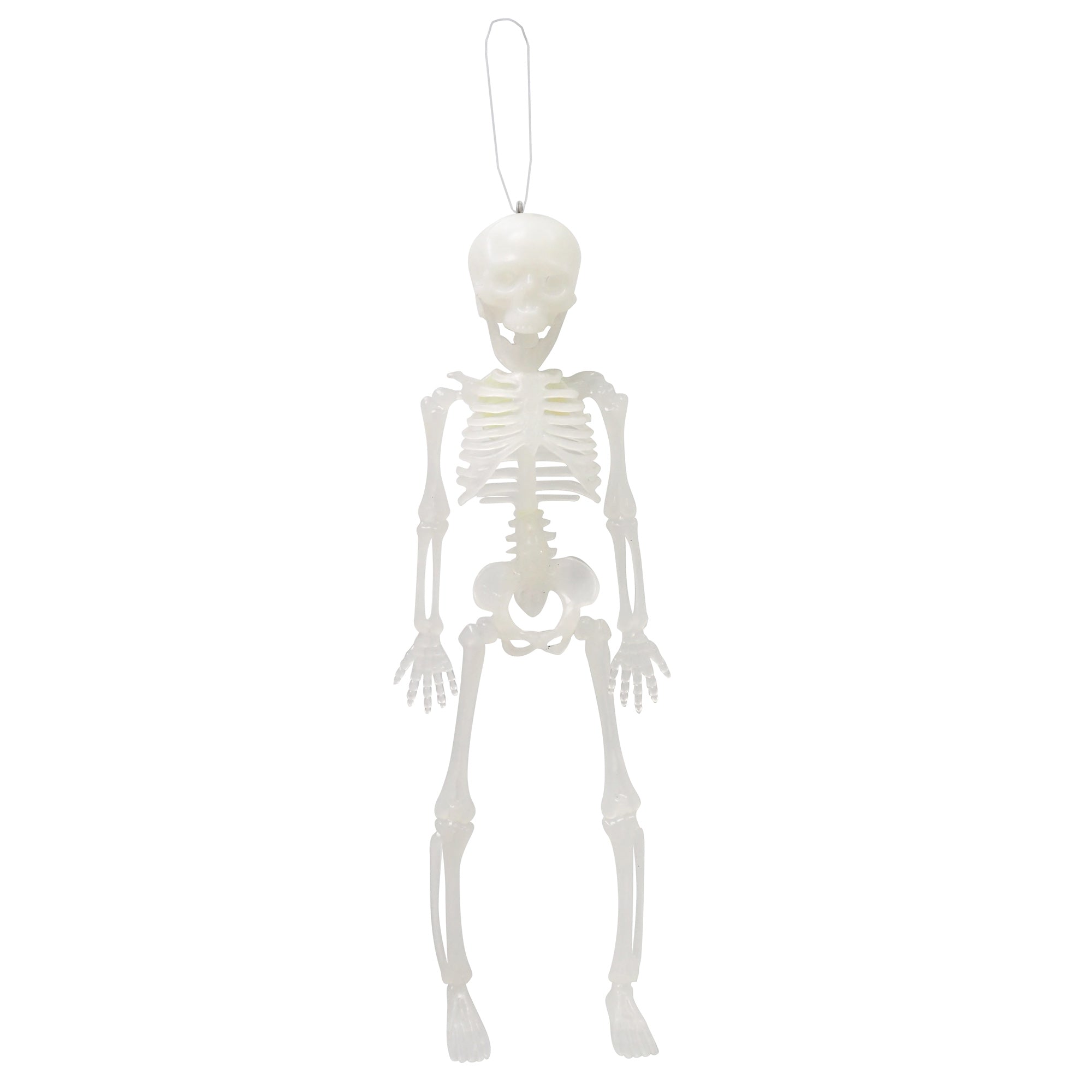 Hanging Skeleton 30cm Transparent