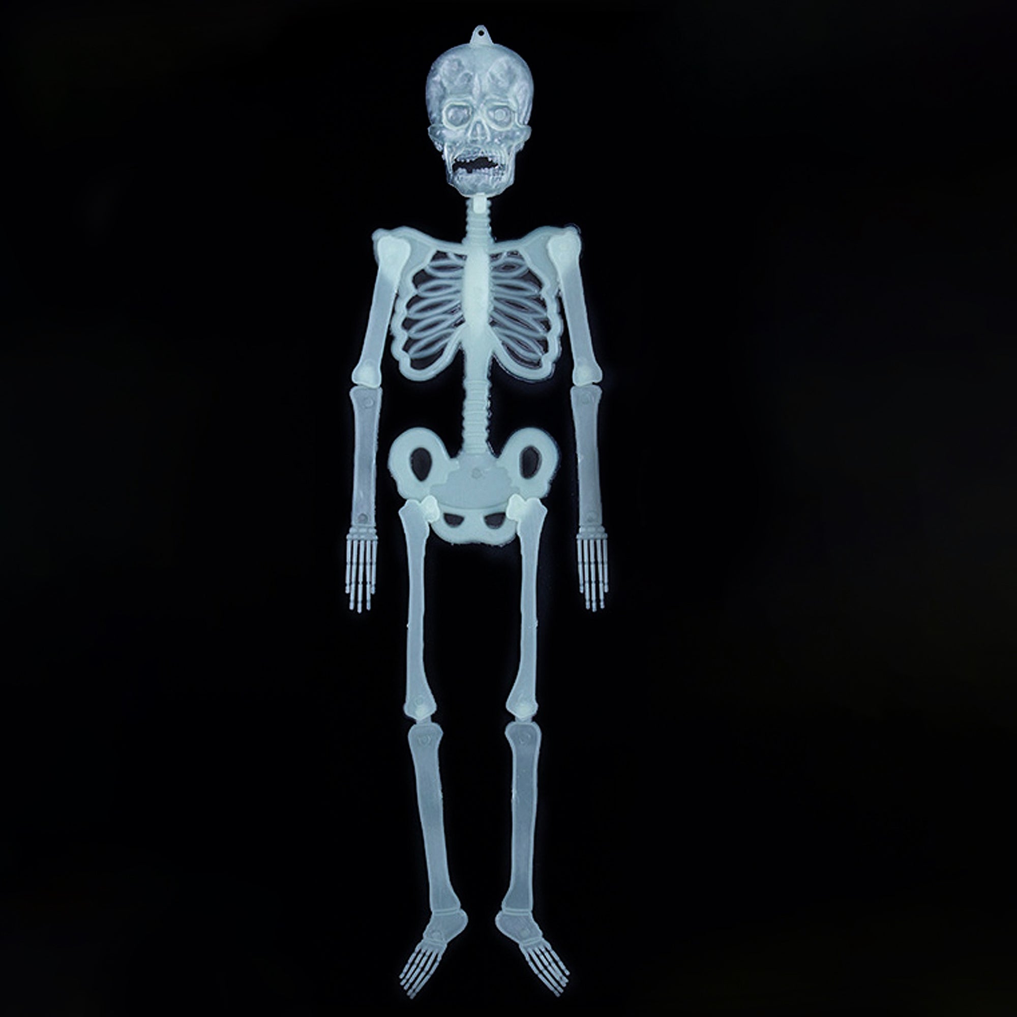 Glow In Dark Hanging Jointed Skeleton 32cm