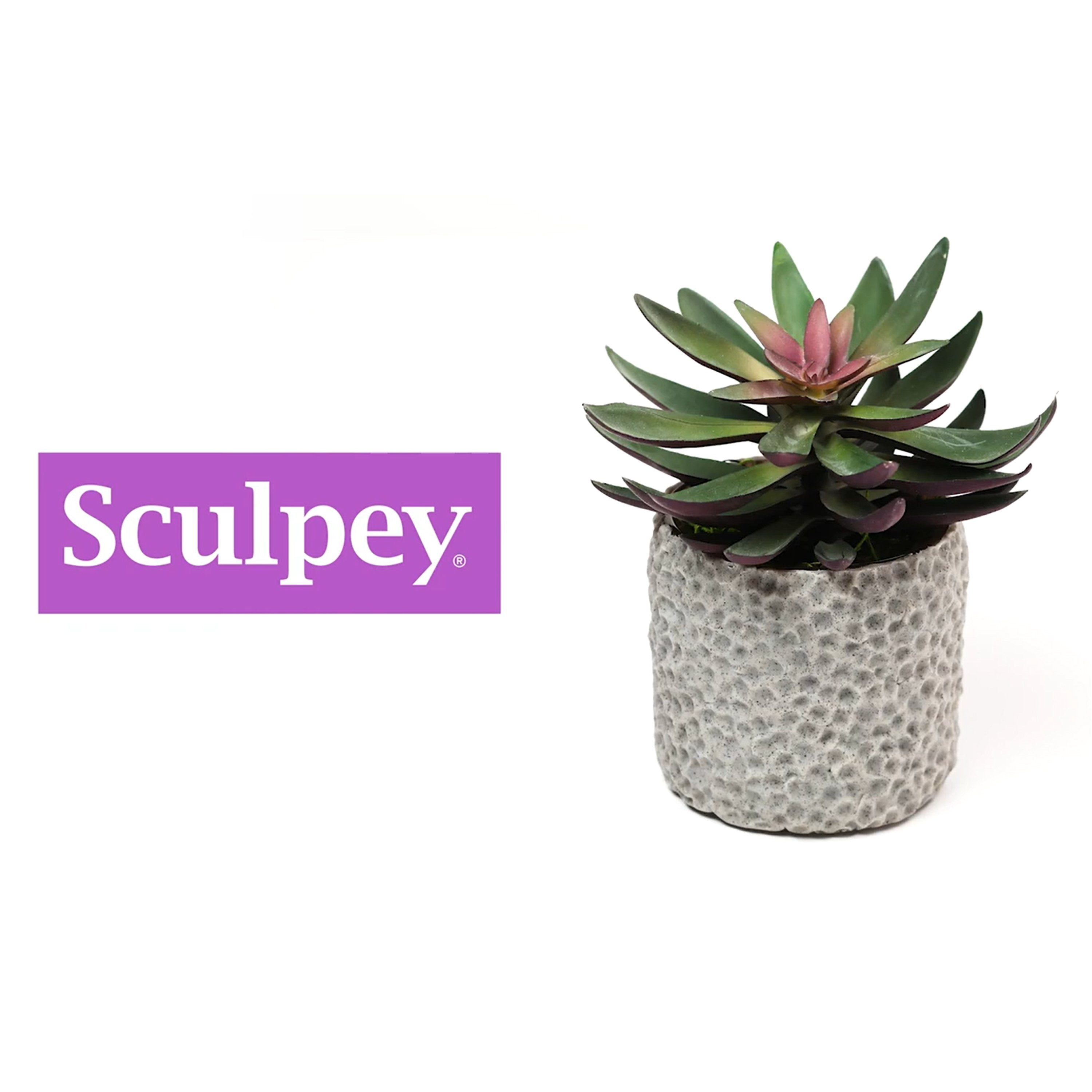 https://cdn.shopify.com/s/files/1/0075/9270/6115/files/Quick_Clay_Craft_-_Easy_Succulent_Vase_with_Sculpey_Premo_Clay.mp4?v=1609572658